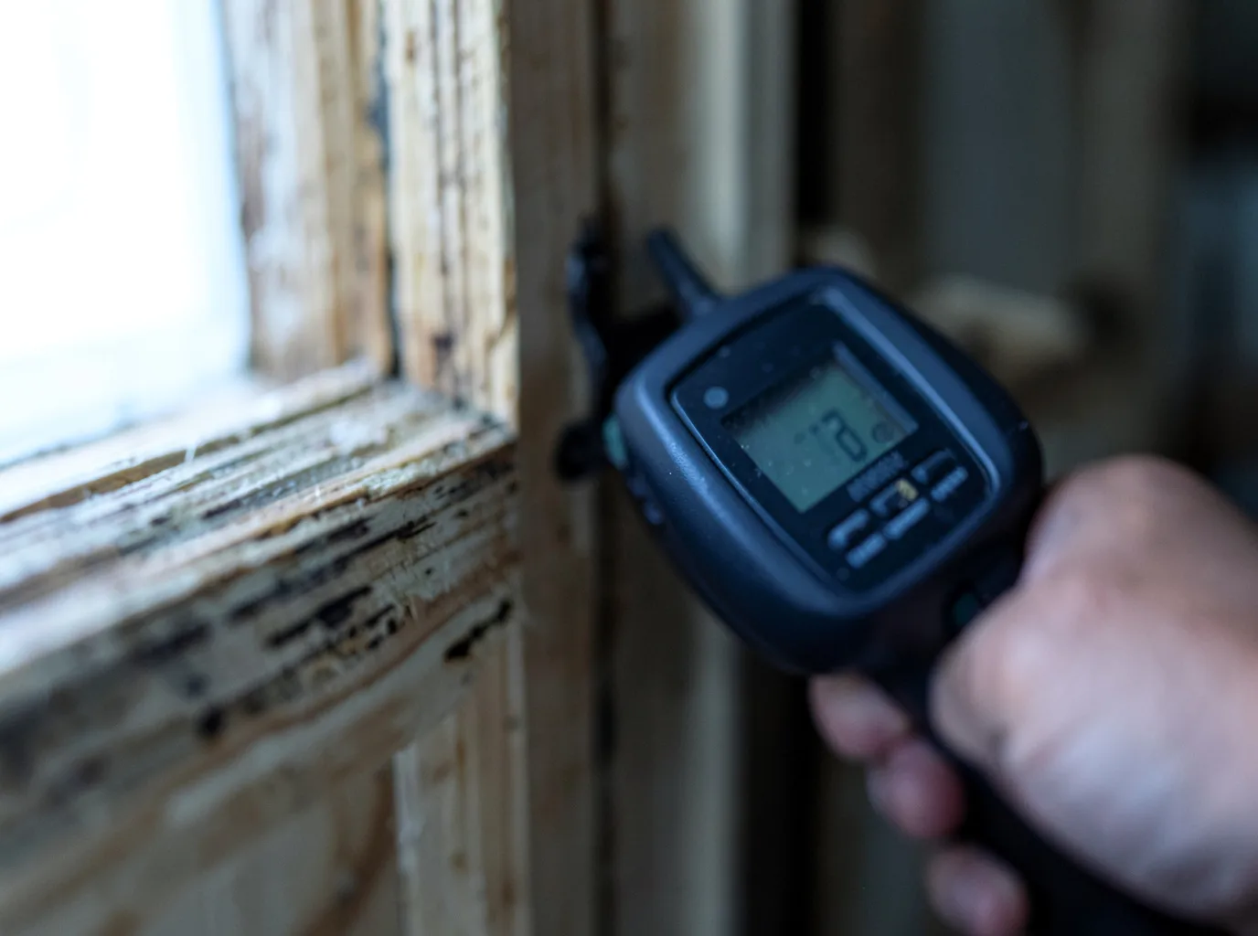 Moisture Inspection And Documentation in San Fidel, NM